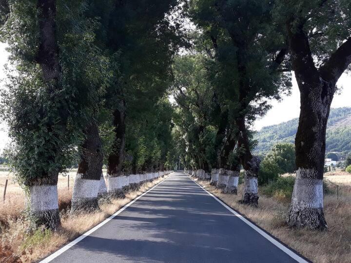 فيلا O Casulo Marvão المظهر الخارجي الصورة